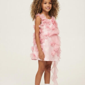 Vestido Fest Rose